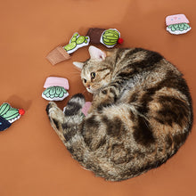 Load image into Gallery viewer, 6- Pack Hand Sewn Catnip Cactus Toys

