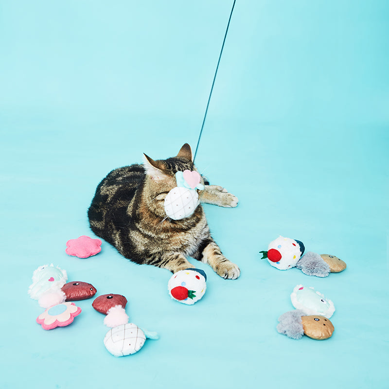 Magnetic Fishing Cat Wand Toy Set 