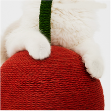 Load image into Gallery viewer, Cherry Cats Scratcher
