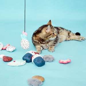 Interchangeable Magnetic Fishing Rod Cat Toy
