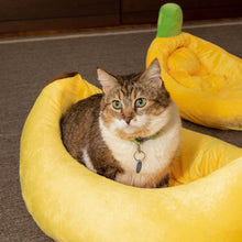 Load image into Gallery viewer, Banana Cat Bed
